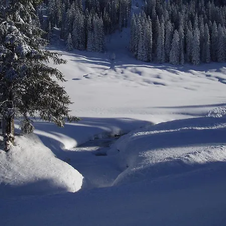 Des Alpes Adelboden