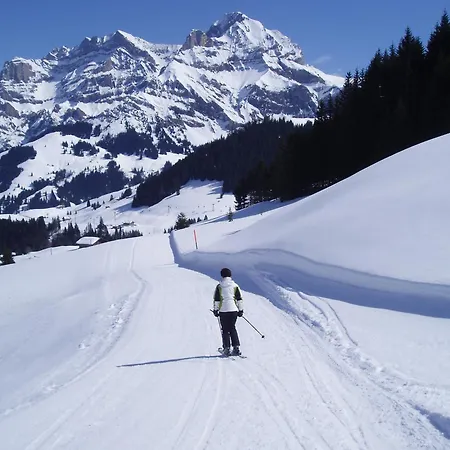 Des Alpes Hotel