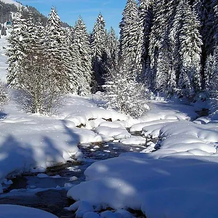Ξενοδοχείο Des Alpes 3*