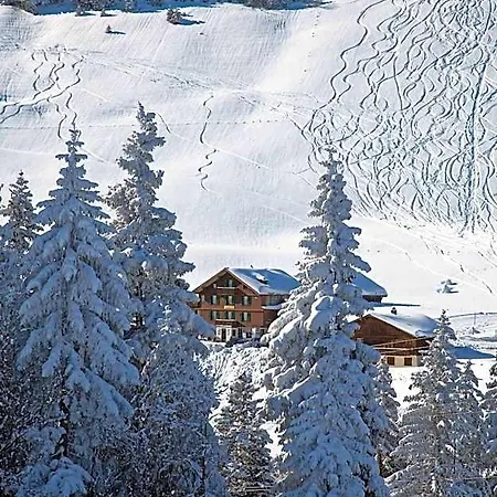 Des Alpes Adelboden