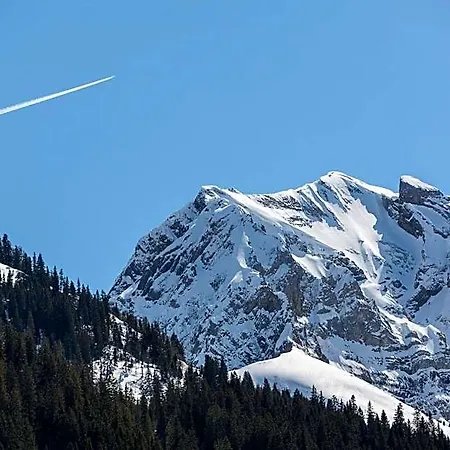 Des Alpes 3* Adelboden