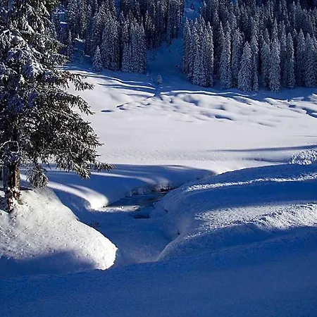 Des Alpes 3* Adelboden
