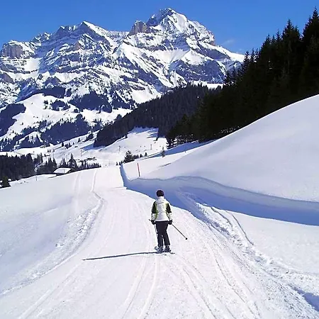 Ξενοδοχείο Des Alpes Αντελμπόντεν