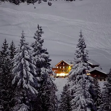 Hotel Des Alpes 3*