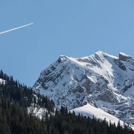 Hotel Des Alpes 3*