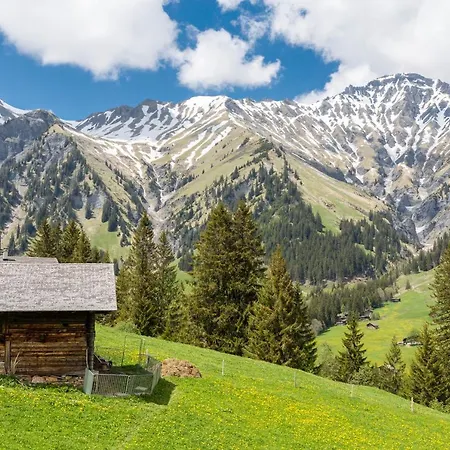 Des Alpes Adelboden
