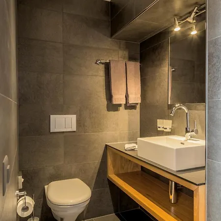 Hotel Des Alpes 3*