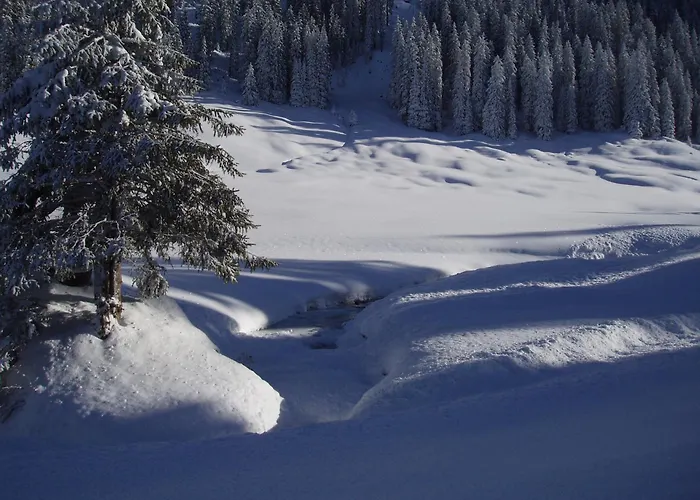 Des Alpes Adelboden