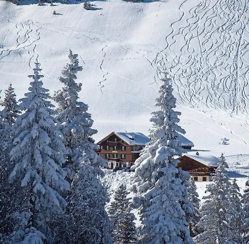 Des Alpes Hotel