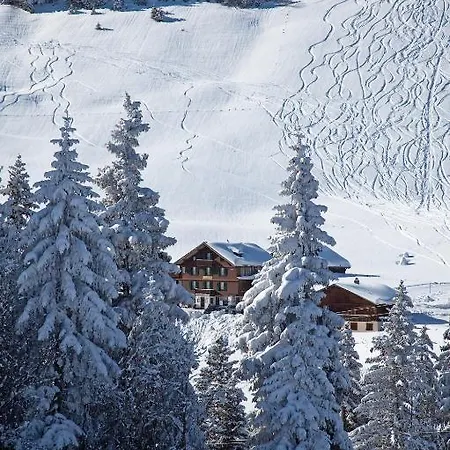 Des Alpes Hotel