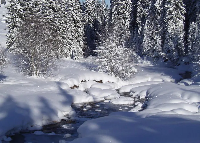 Des Alpes 3*