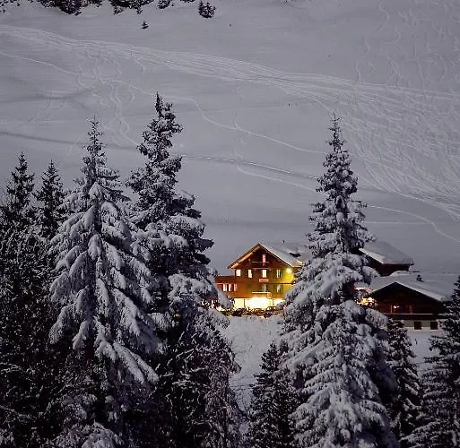 Hotel Des Alpes 3*