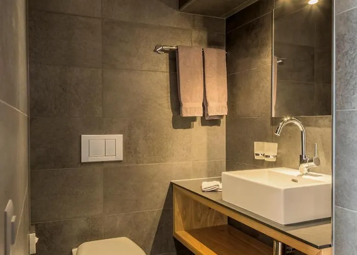 Hotel Des Alpes 3*